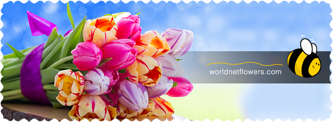Worldnet Flowers